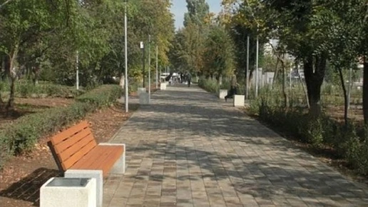 Волгоградскую молодежь ждут на конкурсе «Благоустрой!»
