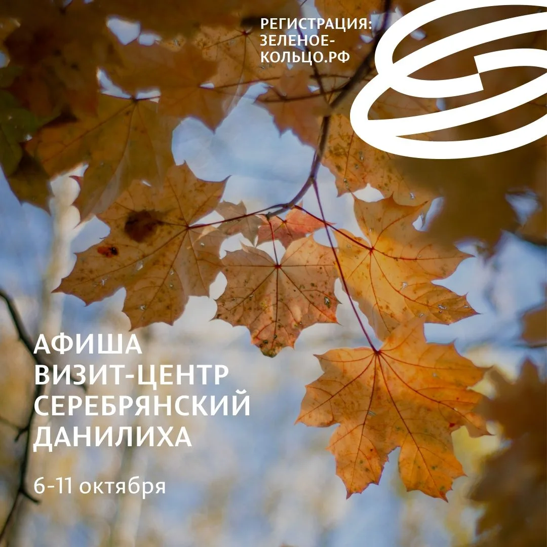 БЕСПЛАТНО
