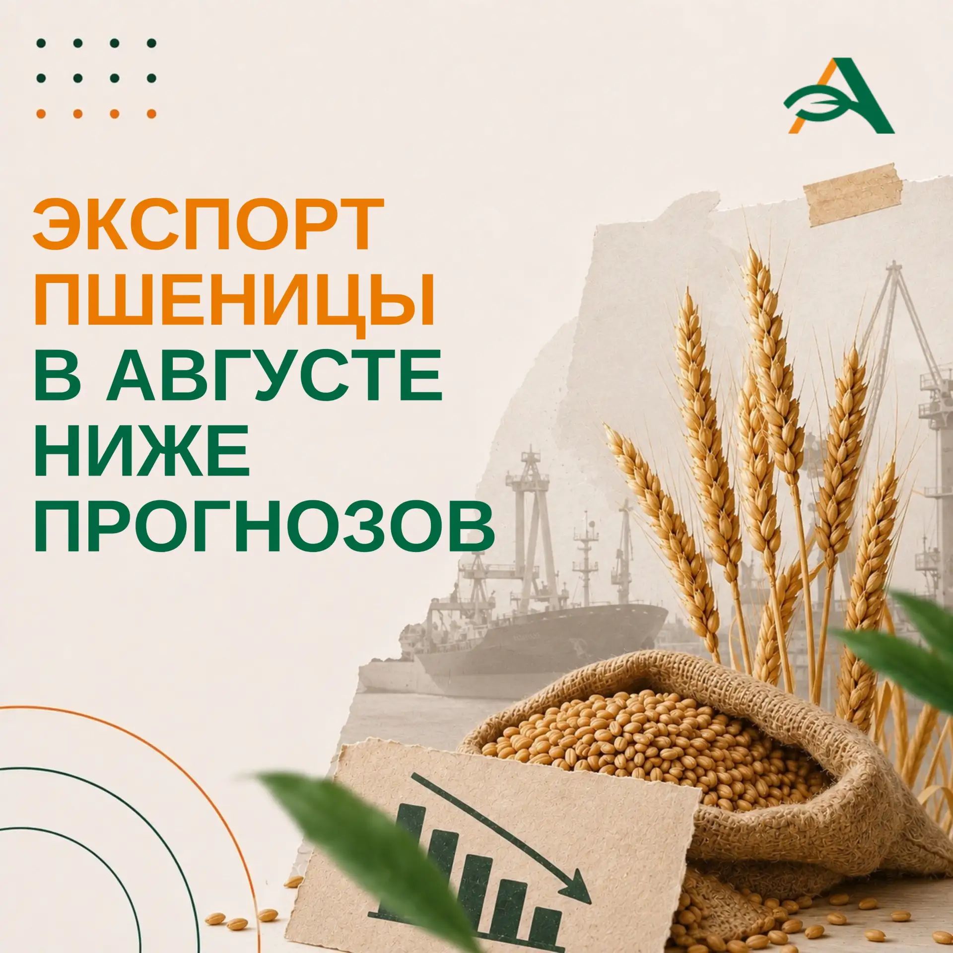 📉«Русагротранс» снизил оценку российского экспорта пшеницы в августе
