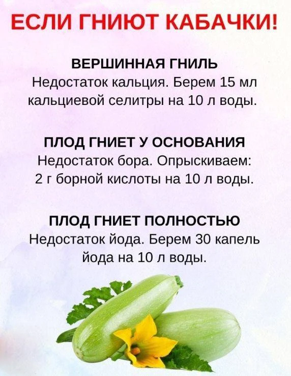 💡ПОЛЕЗНАЯ ИНФОРМАЦИЯ💡
БЕРЕМ НА ЗАМЕТКУ ДРУЗЬЯ📝

Я из Питера👈нажимай
Я из Москвы👈переходи