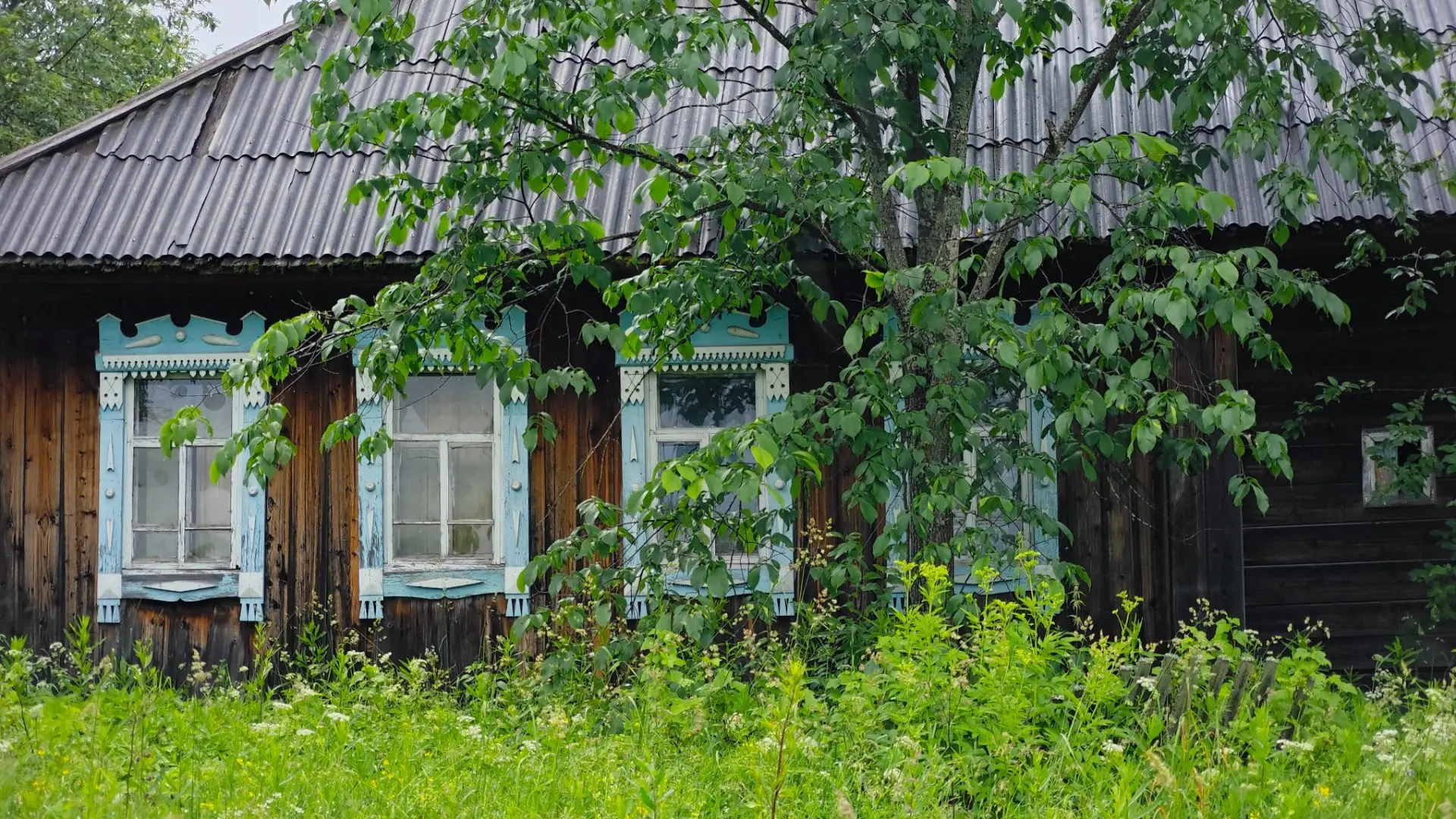 Сходили в деревенский пункт Озона за моими заказами. Как удобно, что они теперь везде, не нужно в го
