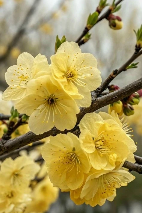 Славы богине Маре💛 в её период от моего соратника Франка🫶