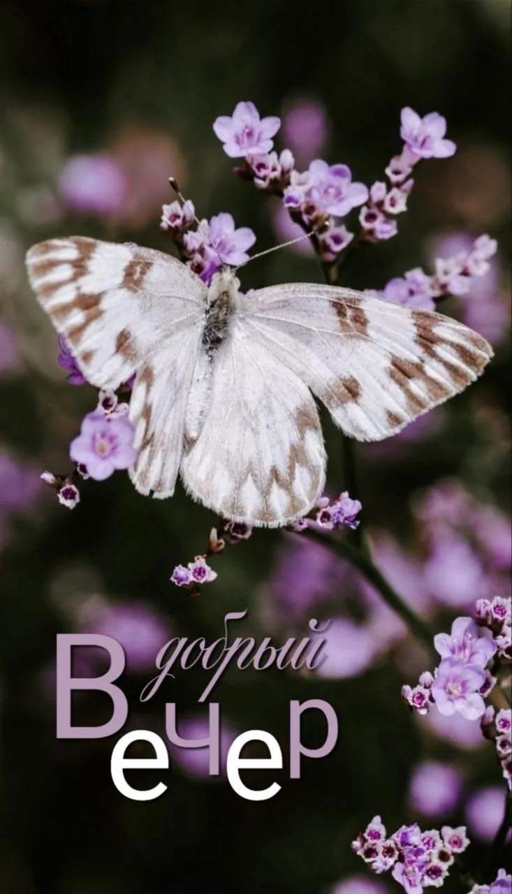 Красивые открытки❤️