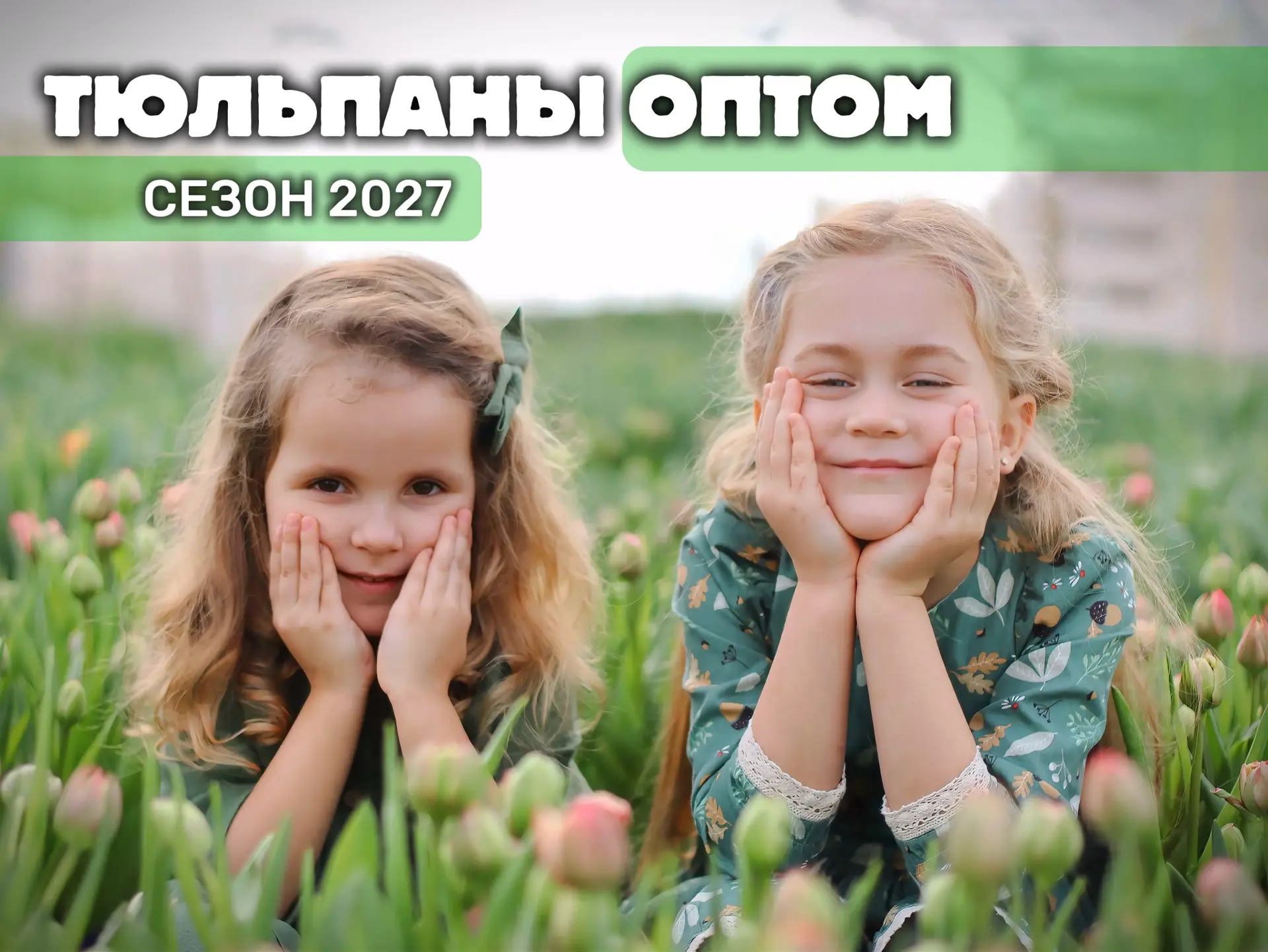 Детей в школу отправили, дачи закрыли, лето проводили. Казалось бы, теперь только новый...