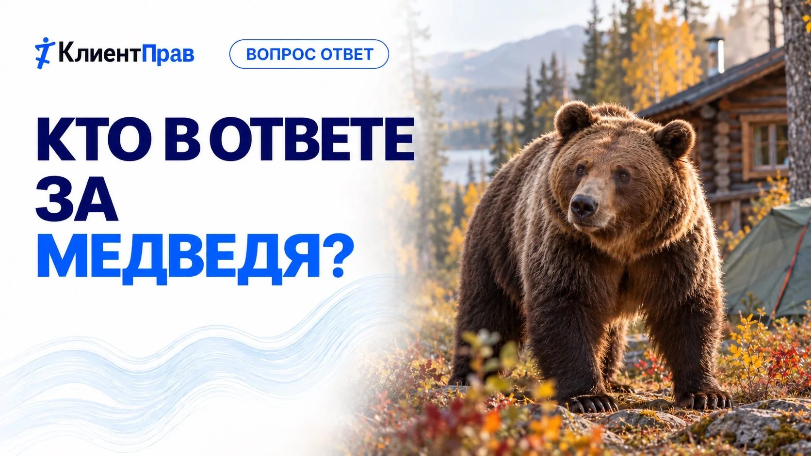Кто в ответе за медведя?