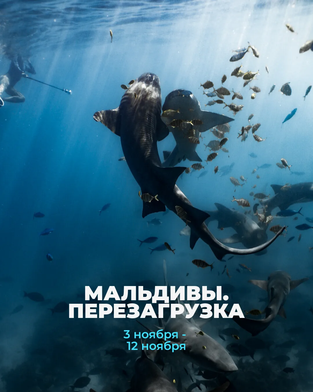 🌴 МАЛЬДИВЫ 2026. ПЕРЕЗАГРУЗКА.