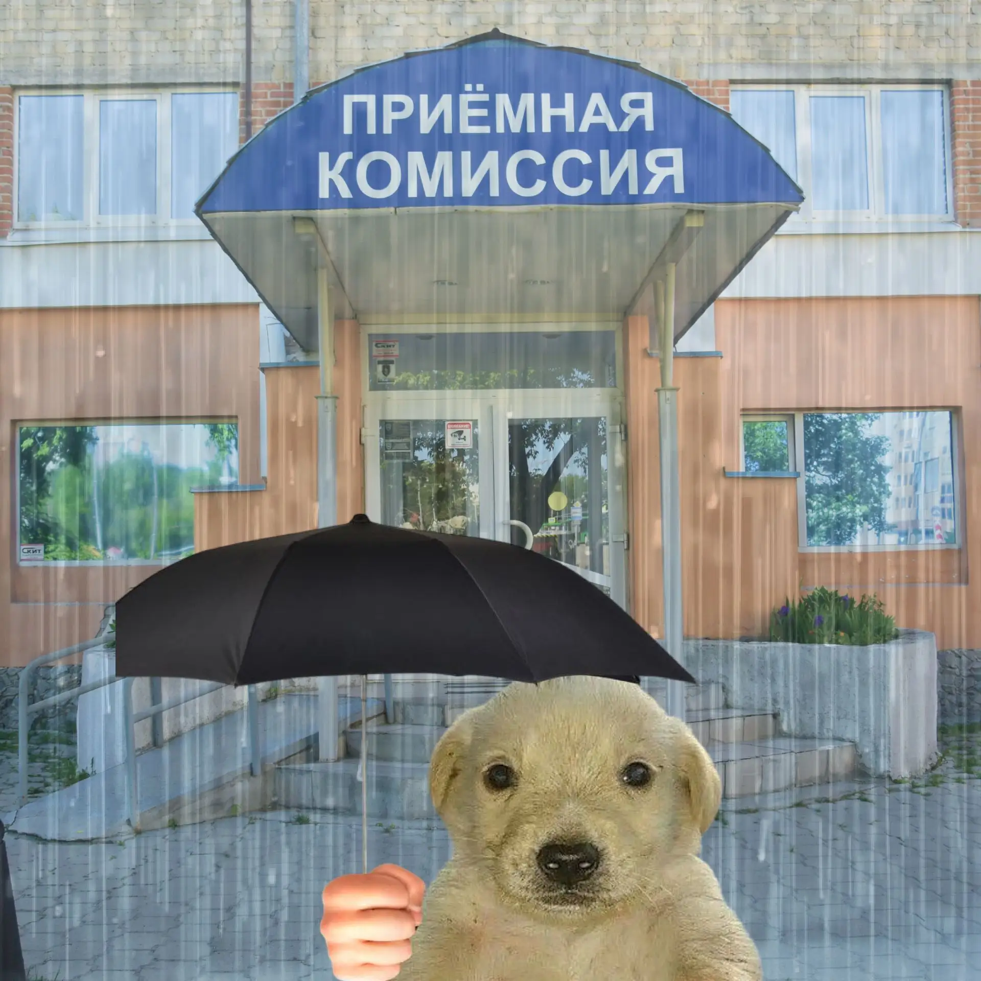 💎 Абитуриенту – график работы приёмной комиссии