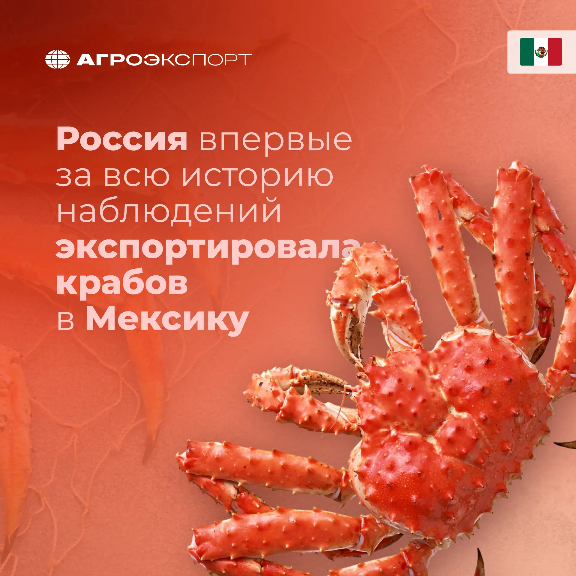 Россия впервые экспортировала крабов в Мексику

Согласно оценкам экспертов, за январь—май 2026 года 
