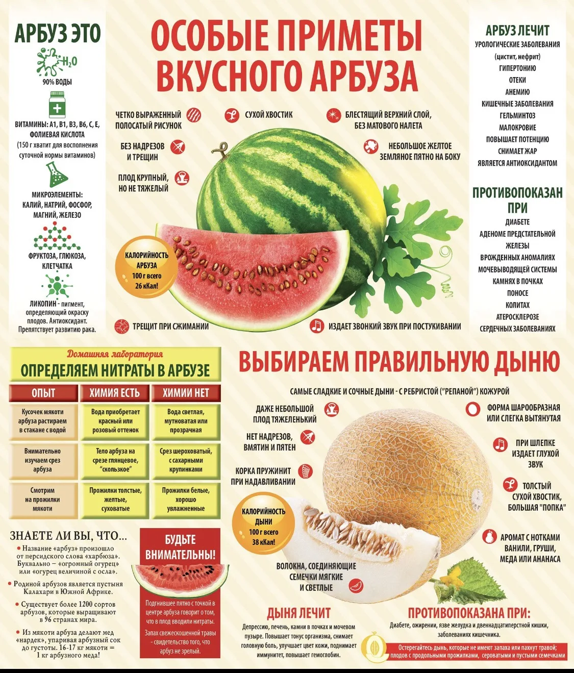 ВНИМАНИЕ РОДИТЕЛЯМ!!!Обращайте внимание на место продажи арбузов и дынь. Не стоит покуп...