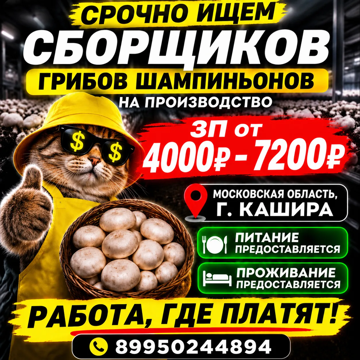 🍎 ХОРОШИЙ ЗАРАБОТОК В МОСКОВСКОЙ ОБЛАСТИ! 🍎📍 г. КАШИРА — РАБОТА ВАХТОЙ