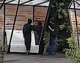 🚨 17 августа на улице Урицкого, в самом центре Истры, трое неизвестных нанесли несанкц...
