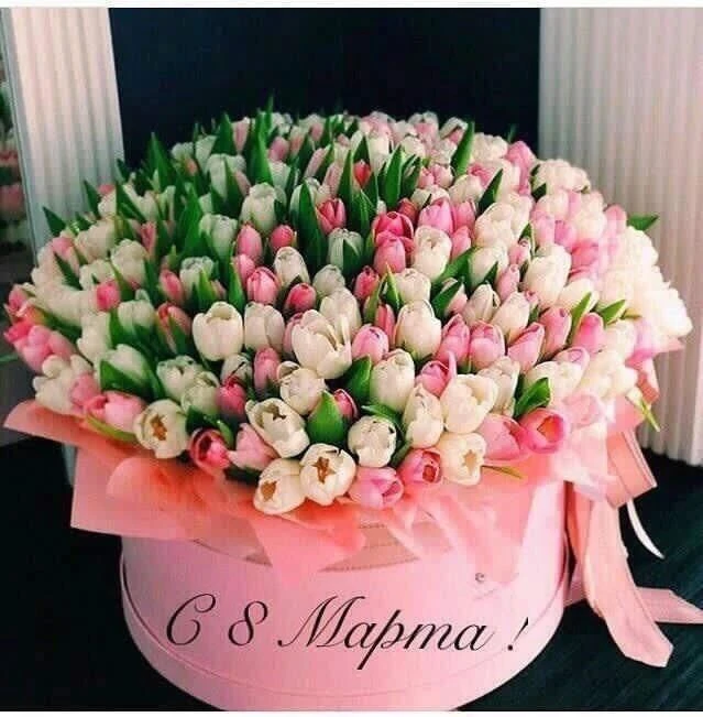 Дорогие женщины!