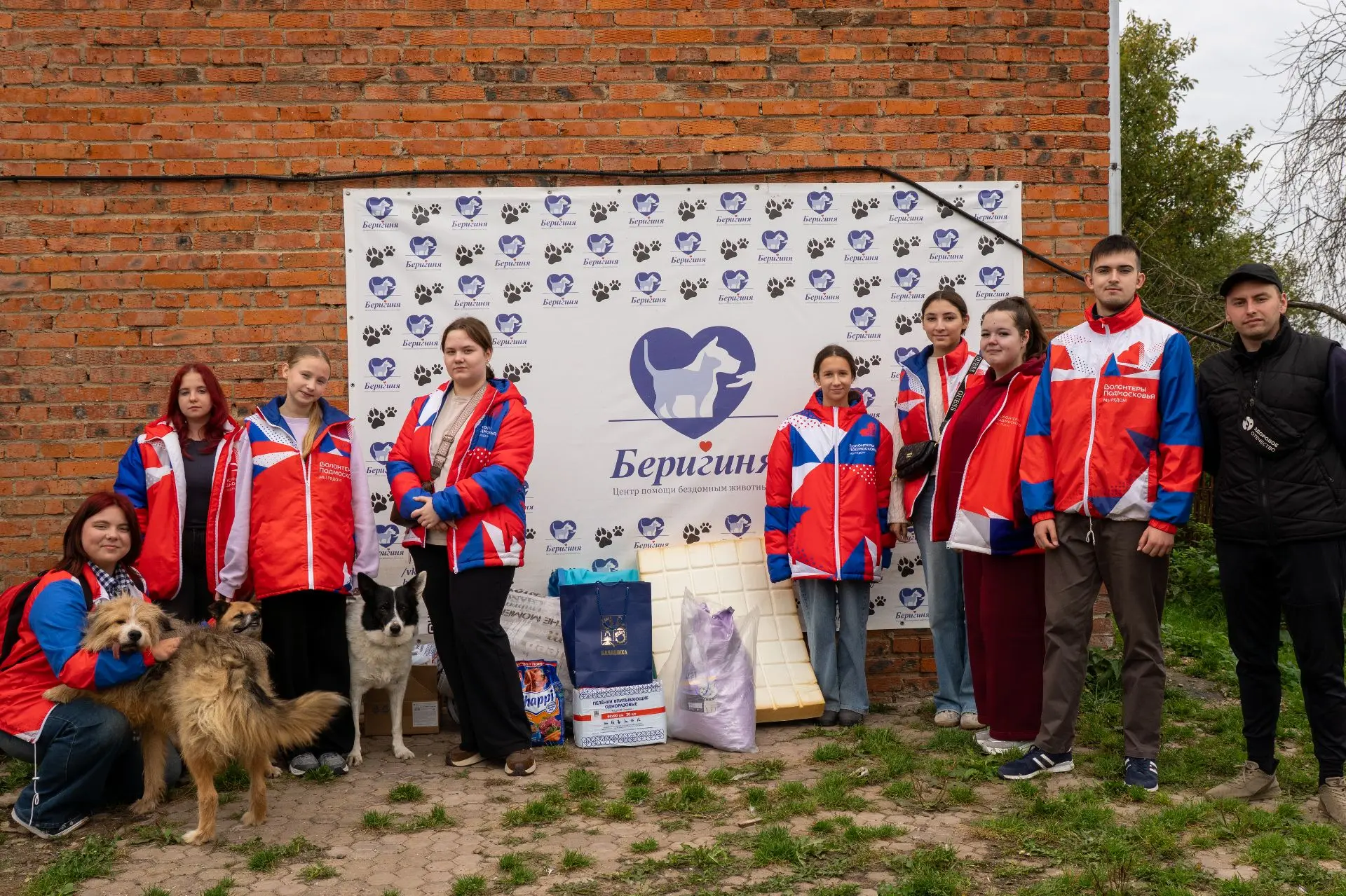 🐾 Добрые дела — там, где они особенно нужны!