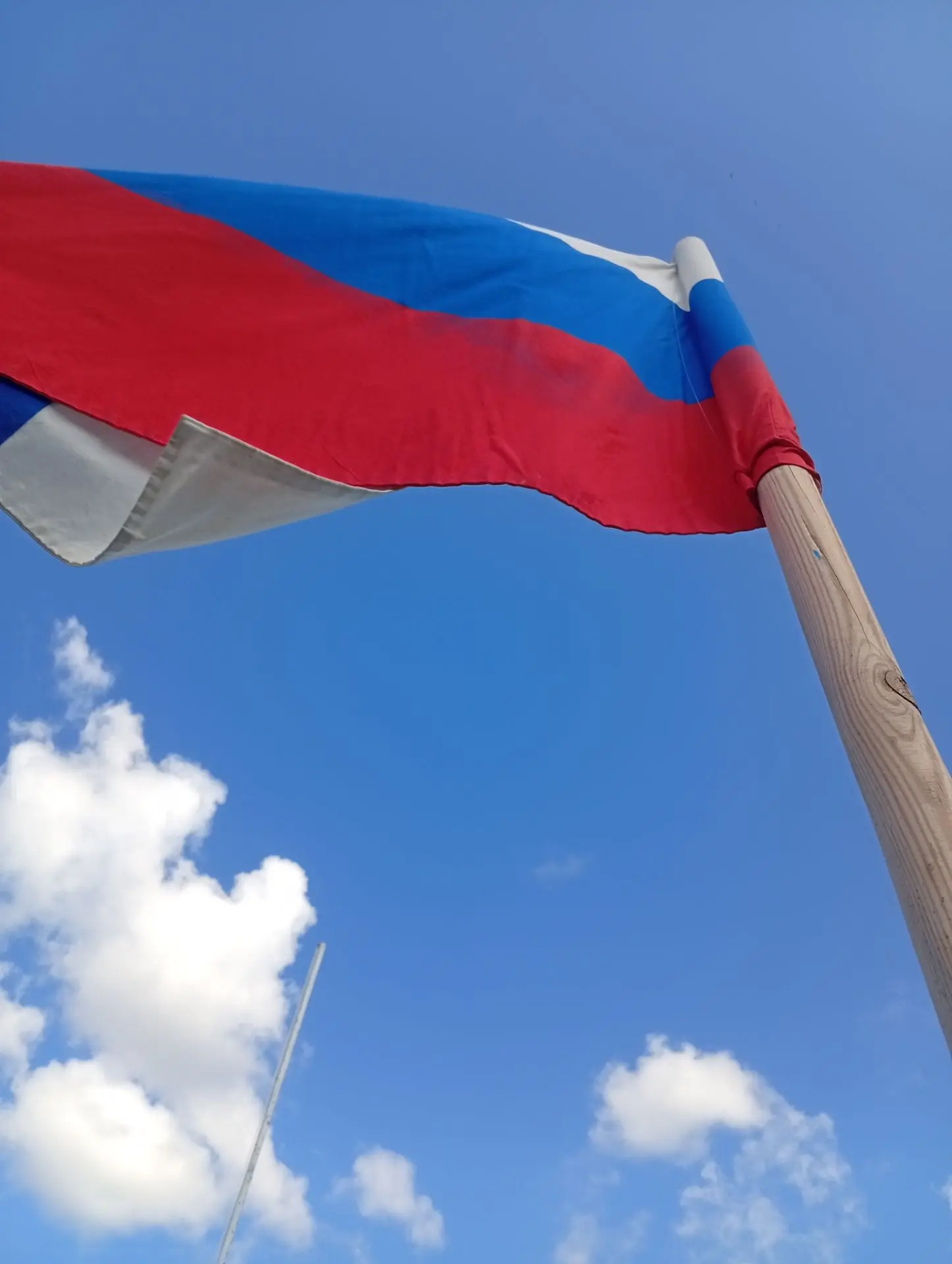 Поздравляем с Днём Государственного флага Российской Федерации! 🇷🇺