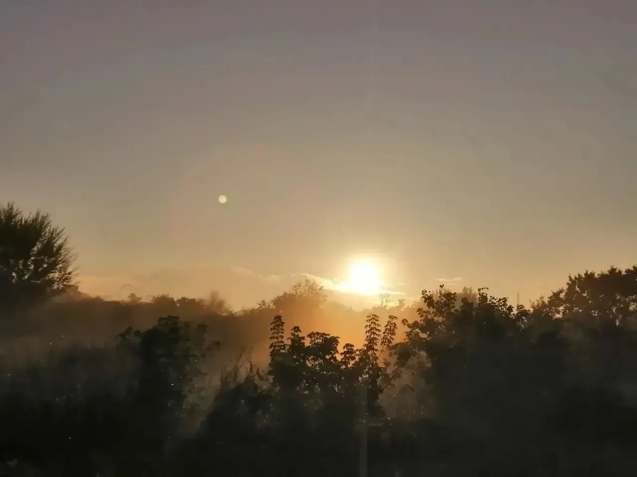 ☀️ Сегодня синоптики обещают теплую погоду. Без существенных осадков.
