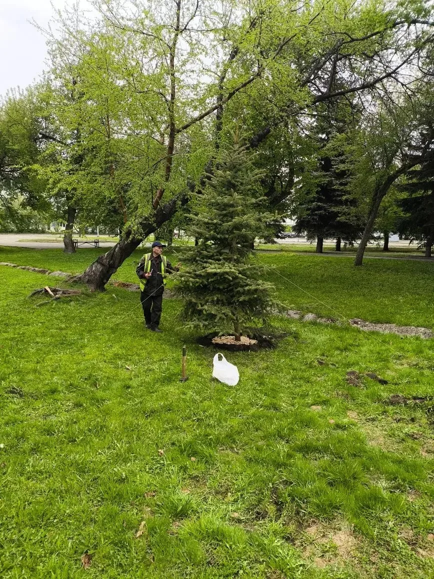 В Комсомольском сквере становится еще уютнее и зеленее 🌿