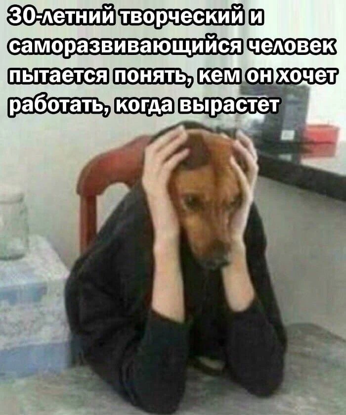 Мем дня