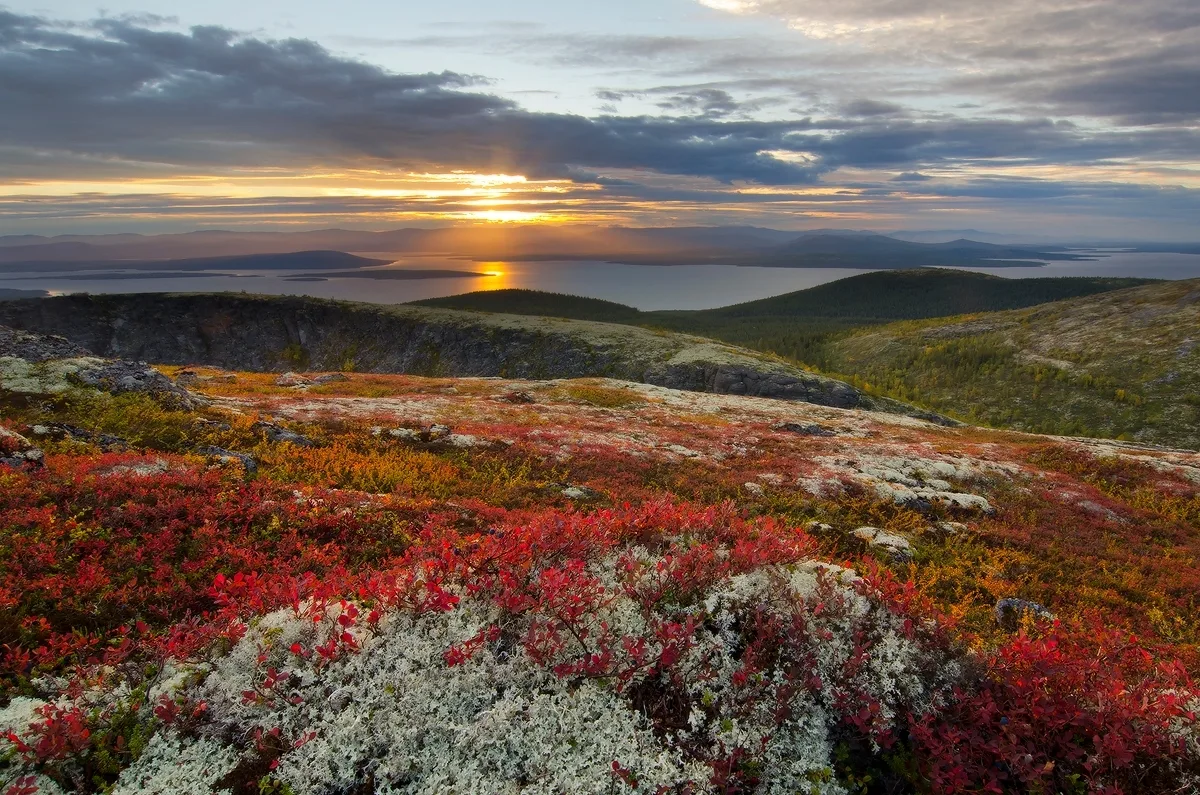 Полярная сказка 🍂
