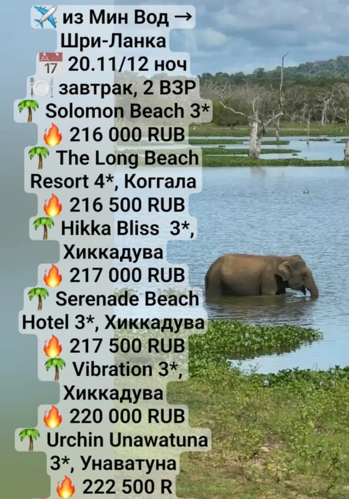 Отличные цены ✈👍
