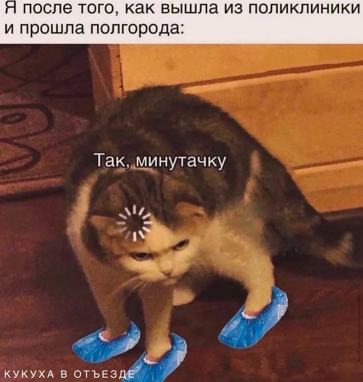 Кукуха в отъезде 🐦