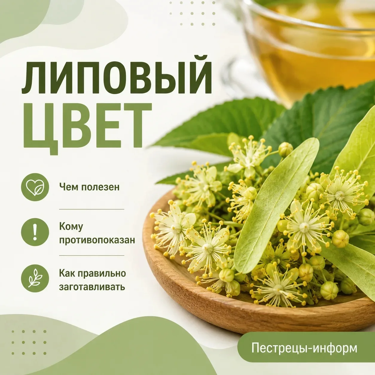 В Пестрецах полным ходом идёт цветение липы — воздух наполняется её сладким ароматом, а...