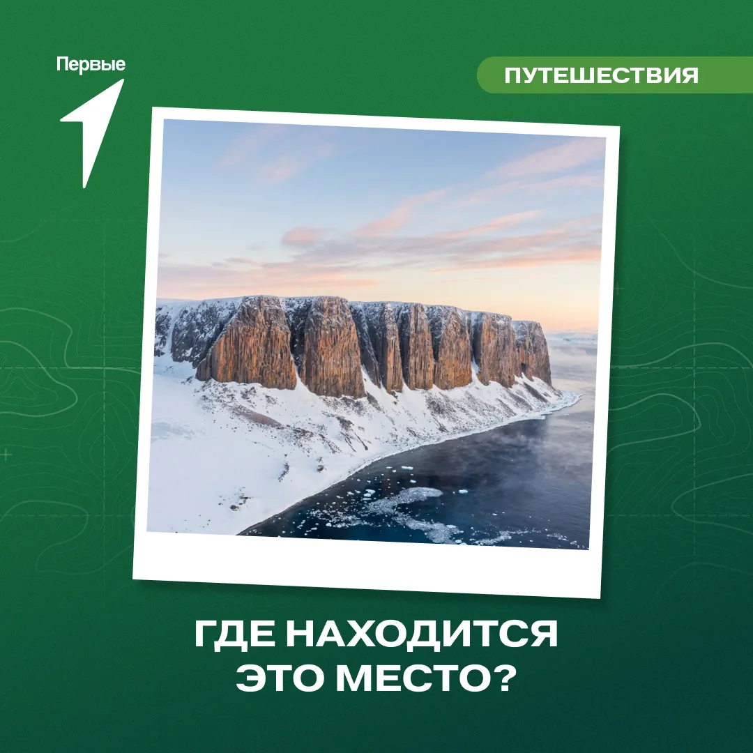 ❄️ От просмотра этой карточки Движения Первых становится очень холодно!