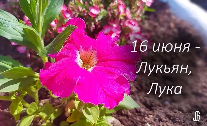 💥Приметы 16 июня в день Лукьяна.
Народные приметы 16 июня в день Лукьяна.
Что нельзя делать 16 июня