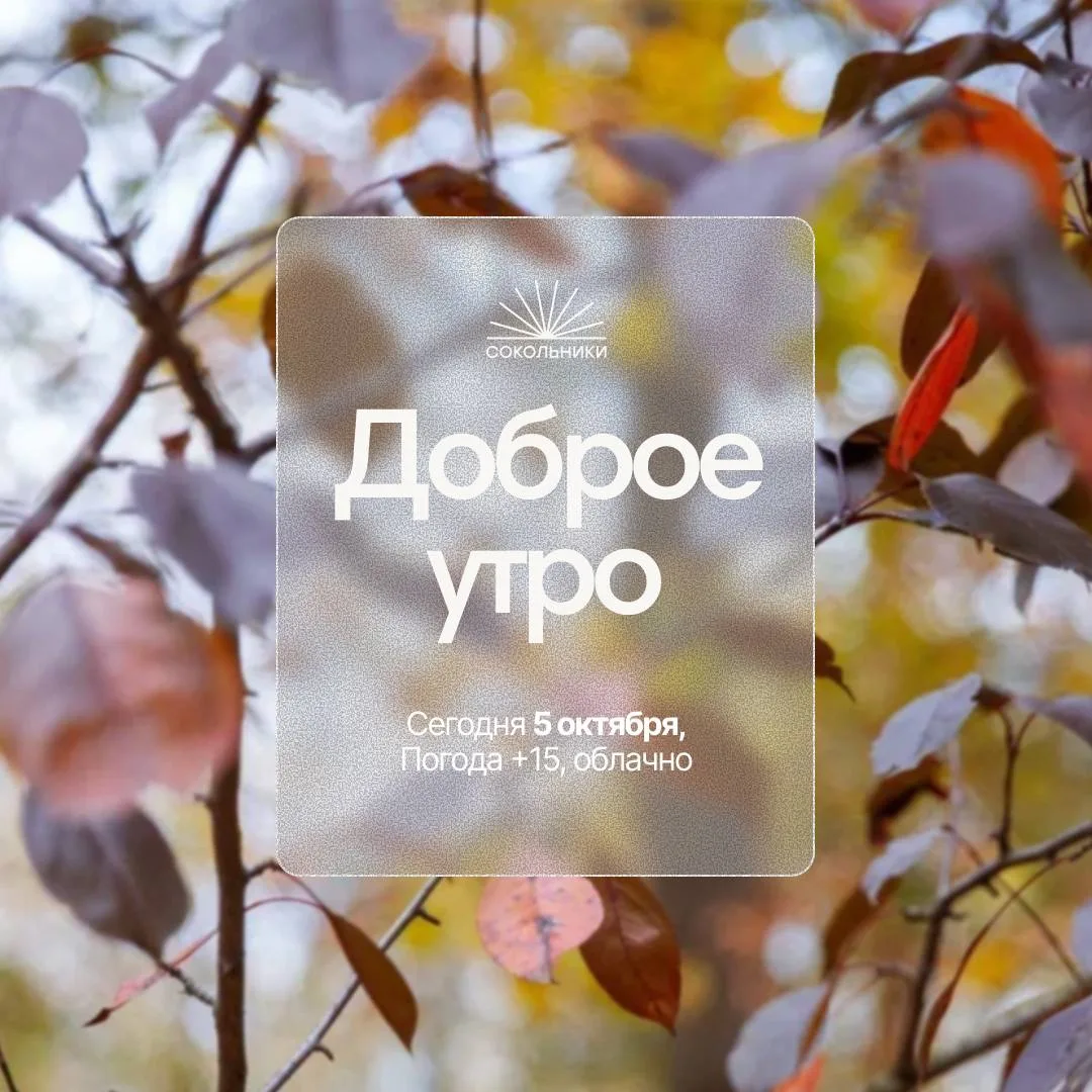 Доброе утро!