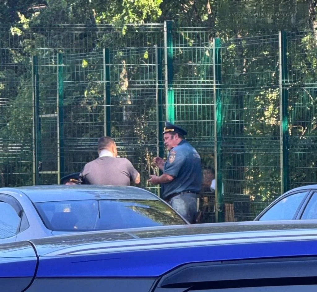 Не все любители жарить мясо у дома в Павлино остались довольны. Некоторым пришлось прервать пиршеств