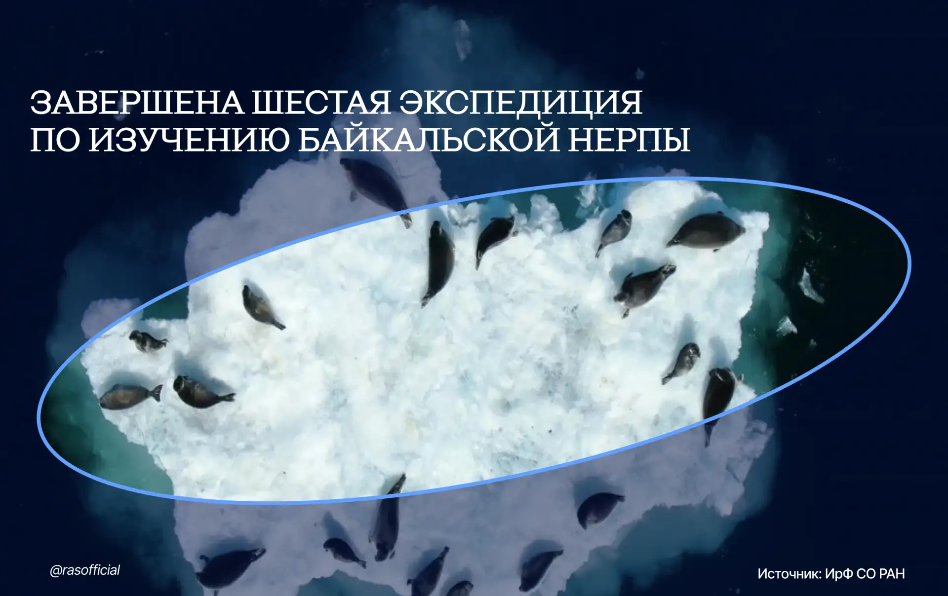 🦭 Байкальские нерпы здоровы и хорошо упитаны

К такому выводу пришли сотрудники Байкальского музея 