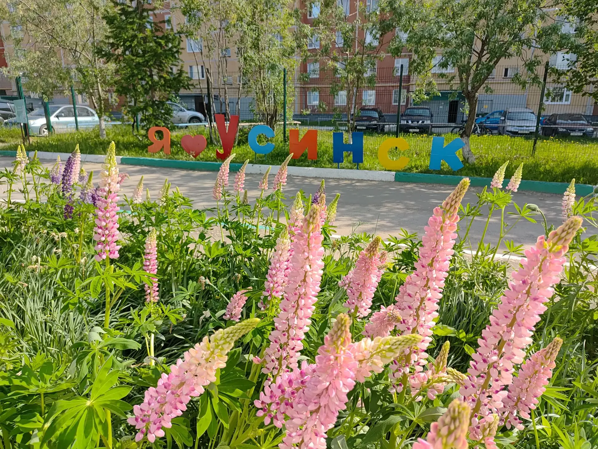 ☀Красота Усинска в ярких летних красках и бережном отношении к природе 🌱🌷🌳
Тёплые летние дни даря