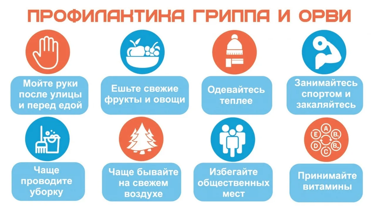 Сезон простуд открыт: как не «подхватить» ОРВИ? 🛡️