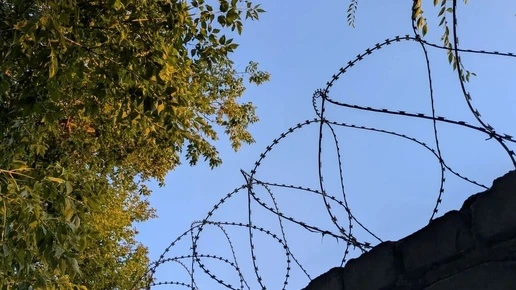 Под Воронежем осудили производителей подпольного алкоголя