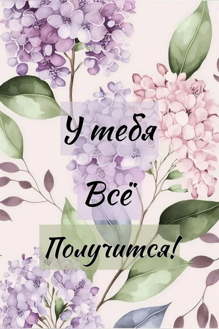 Открытки из WA — Подписывайся