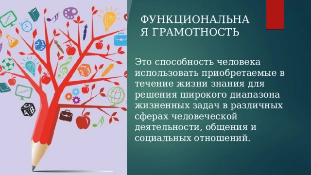 🎓 Зачем в школе изучать функциональную грамотность?