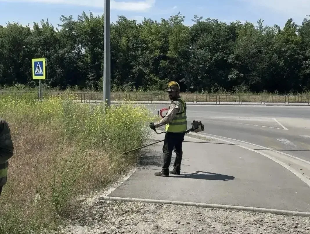 Администрация Новочеркасска отчиталась о покосе травы на десяти улицах

Департамент ЖКХ утверждает, 