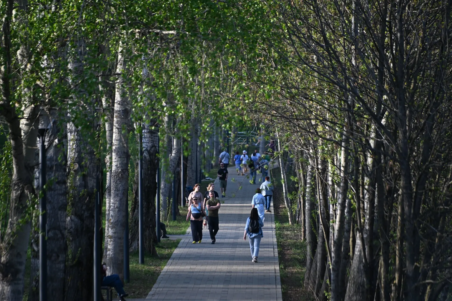 Парк «Швейцария» в Нижнем Новгороде не будет работать 15 сентября