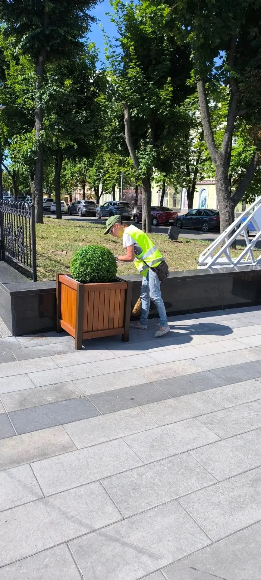 🌳🌳Самшиты в кашпо - новое ландшафтное решение для украшения сквера