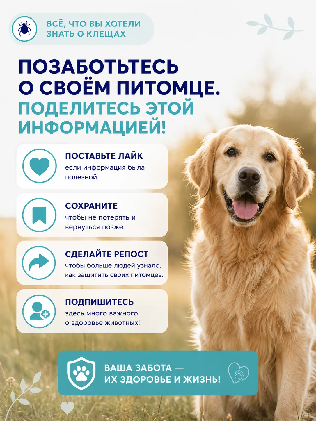 Все, что вы хотели знать о клещах.