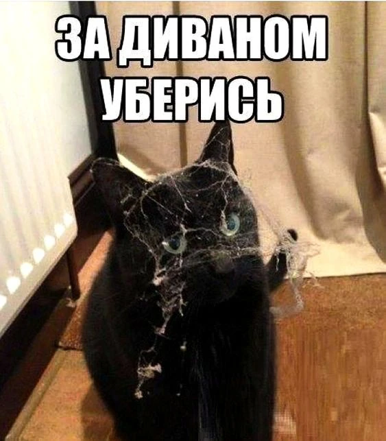 Рубрика ПРОФШУТЕЙКИ
