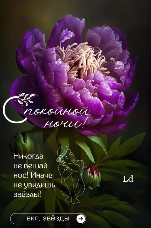 🌹Открытки для любимых
