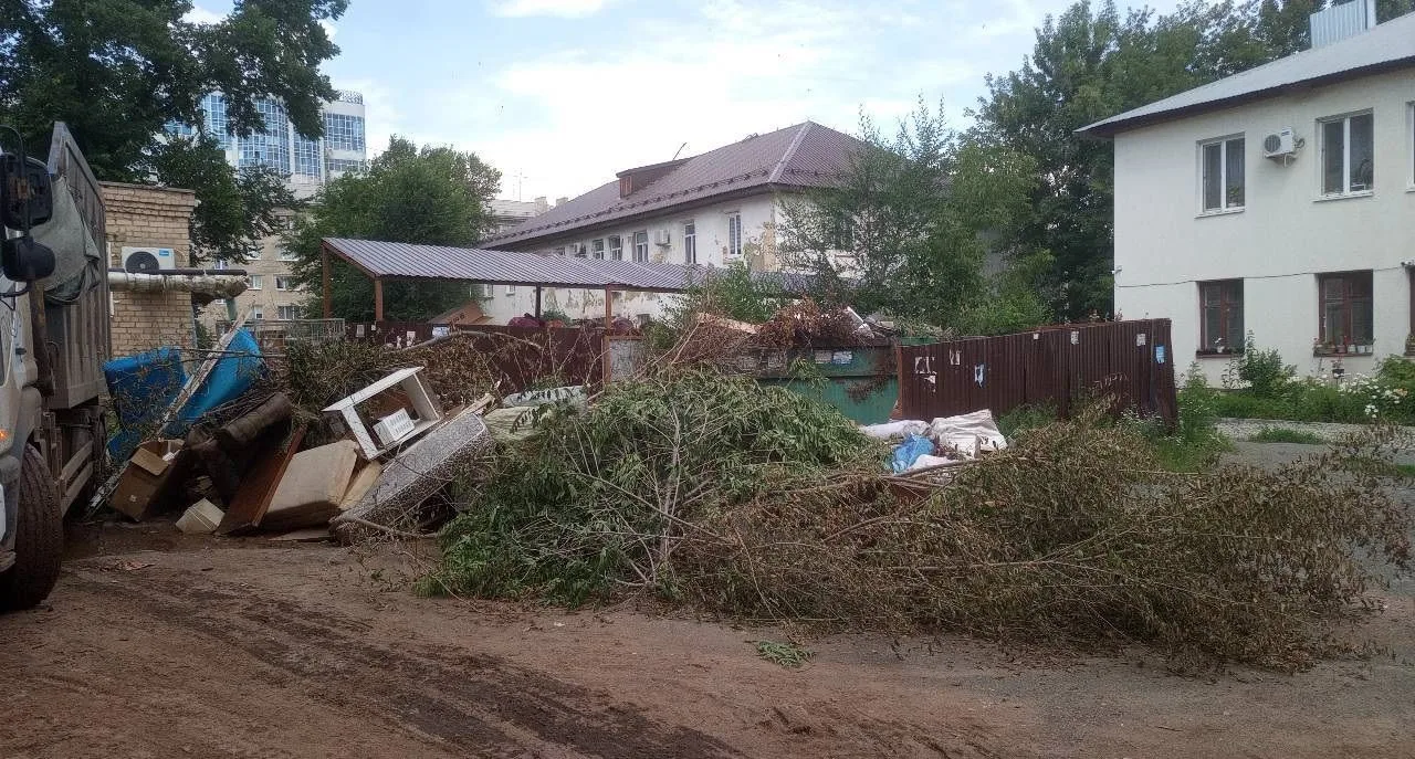 🤔Знаете, бывает так: после наведения порядка на участке остаётся целая гора веток, лис...