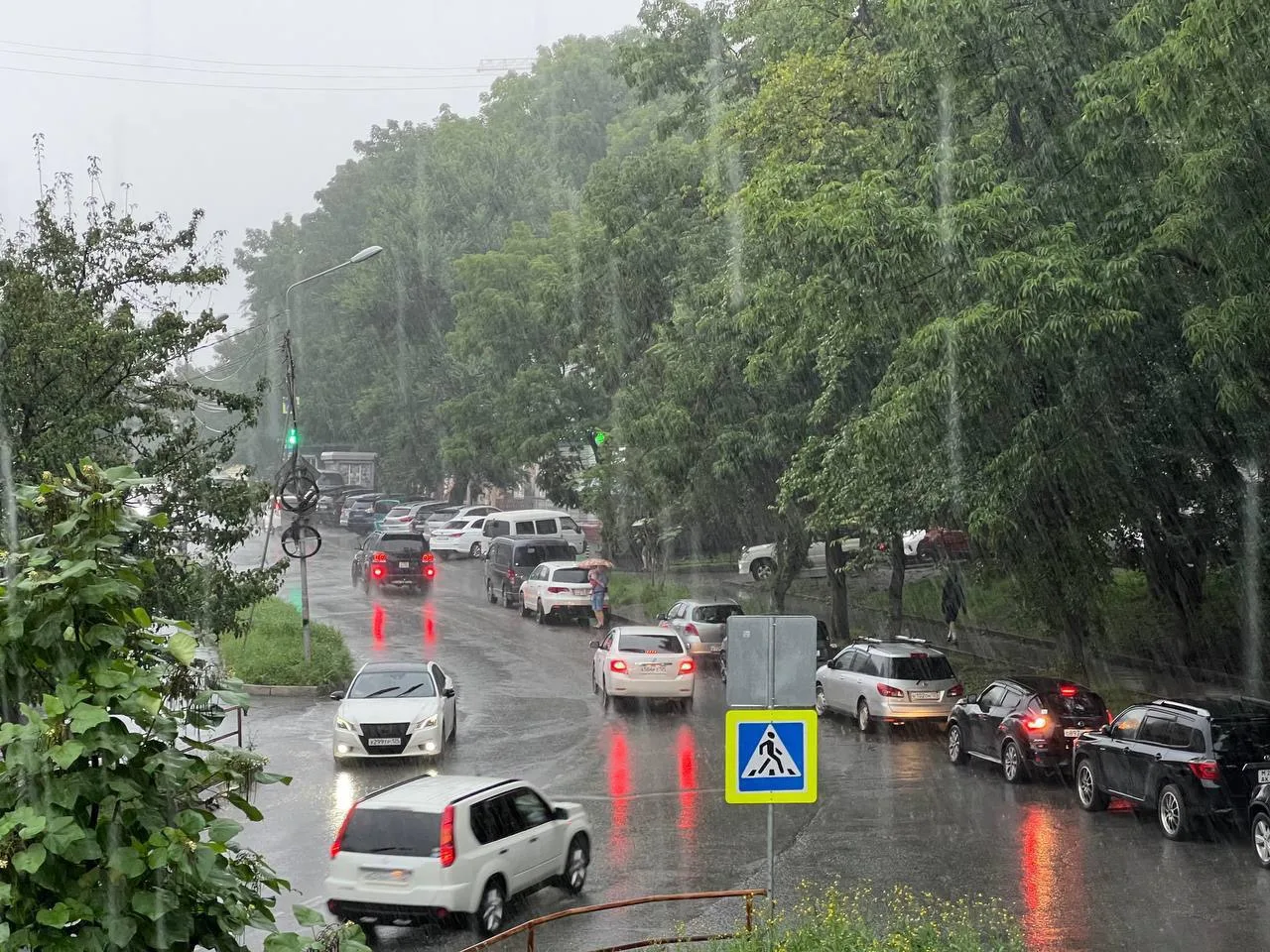 ❗️В Артёме и Приморье объявлено штормовое предупреждение

1-2 августа в крае ожидаются сильные дожди