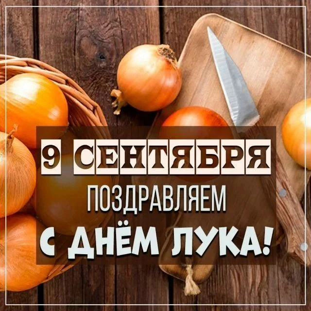 ✨ Маленькие исследователи в деле! ✨