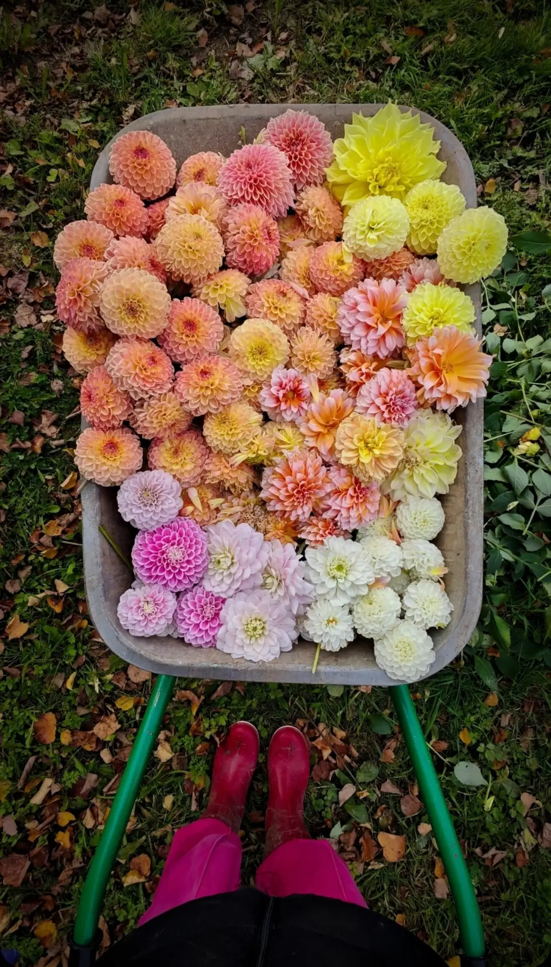 Красивых вам снов.