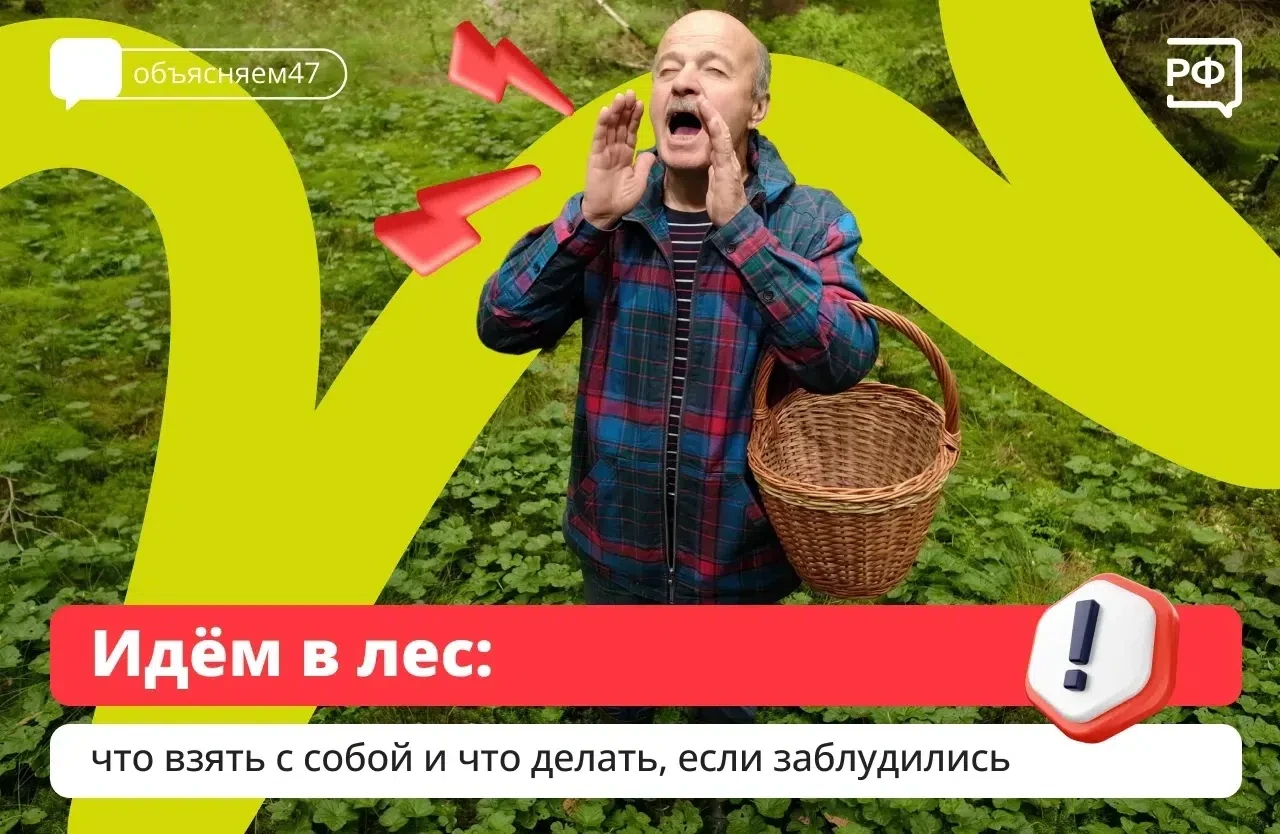 В Ленобласти в разгаре сезон грибов и ягод. Собираясь в лес, строго соблюдайте меры без...