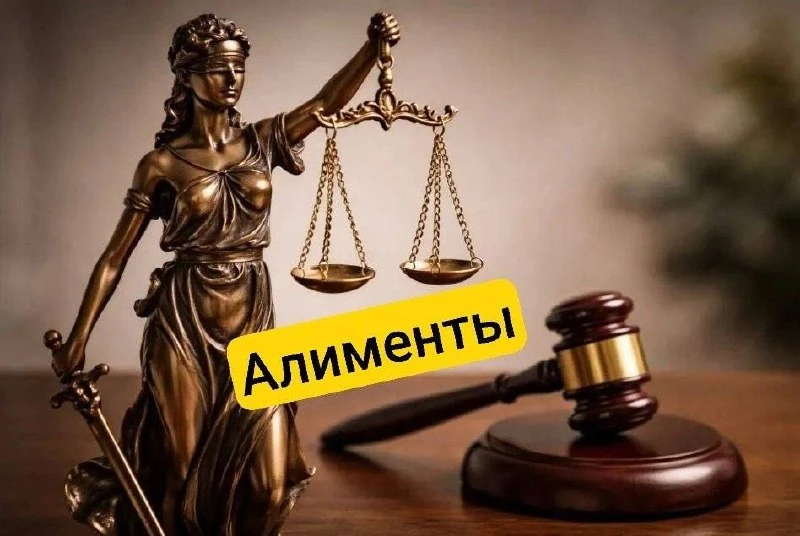 В Госдуме внесли на рассмотрение законопроект об увеличении срока выплаты алиментов до ...