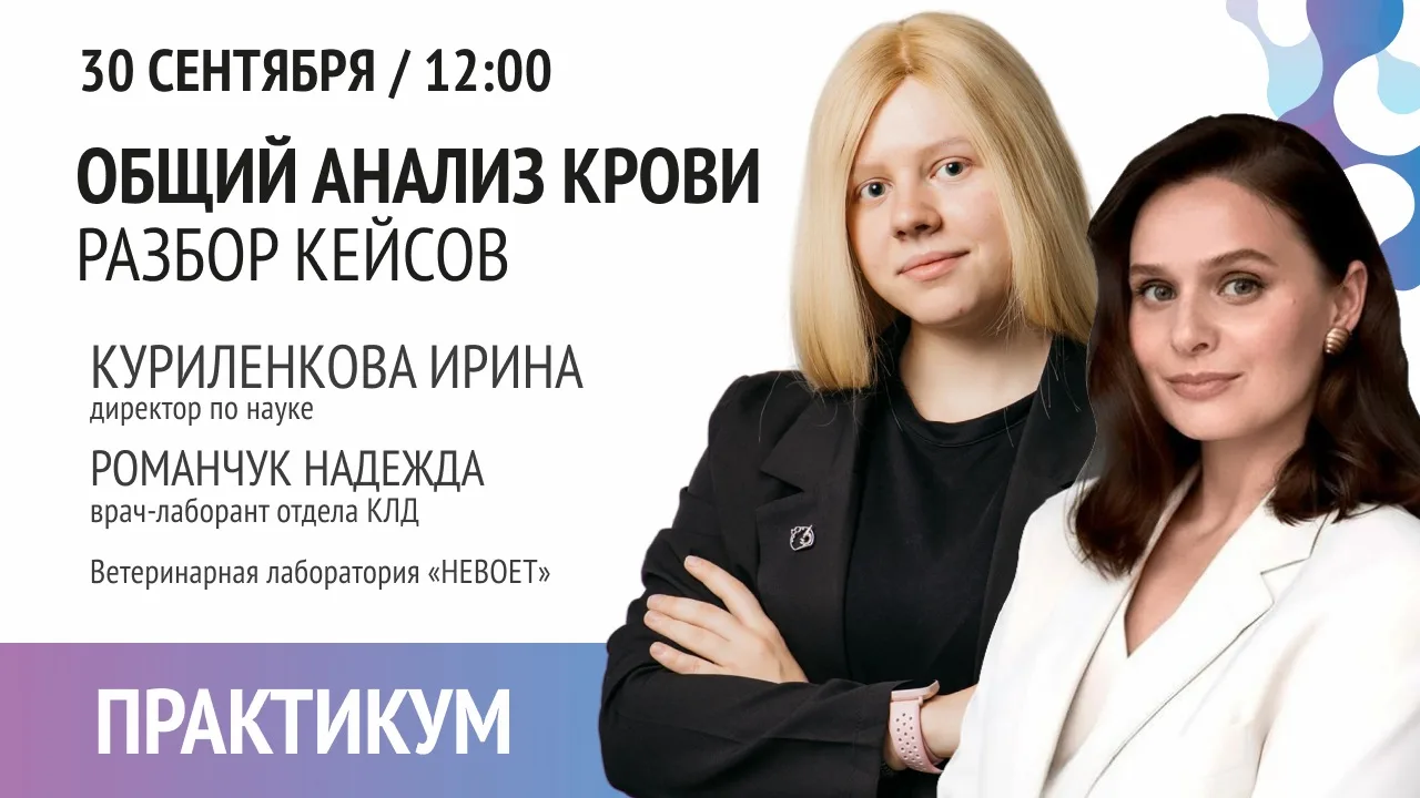 ДОБРЫЙ ДЕНЬ