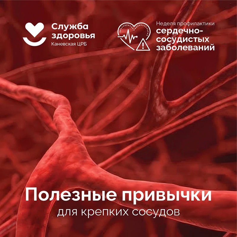 🏃‍♂️ 5 полезных привычек для крепких сосудов