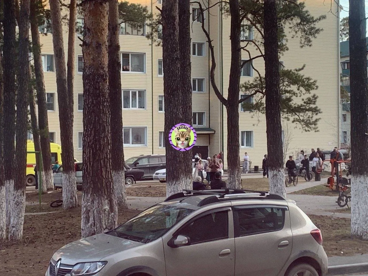 Всплыли ПОДРОБНОСТИ НАПАДЕНИЯ подростка С НОЖОМ в Винзилях 😳